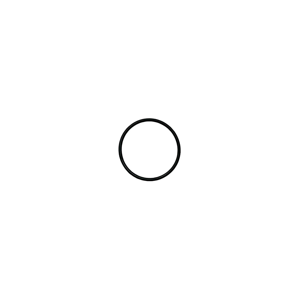 T60X Sealing Ring (OD=31.4 mm)