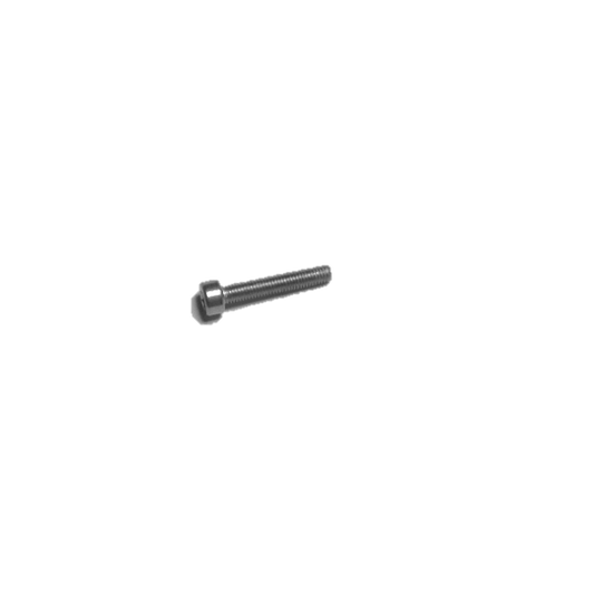 DJI Agras T40/T50/T20P/T25 Screw M30-HC180180-55-85 V2